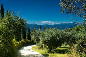 Ausflug durch die Maremma